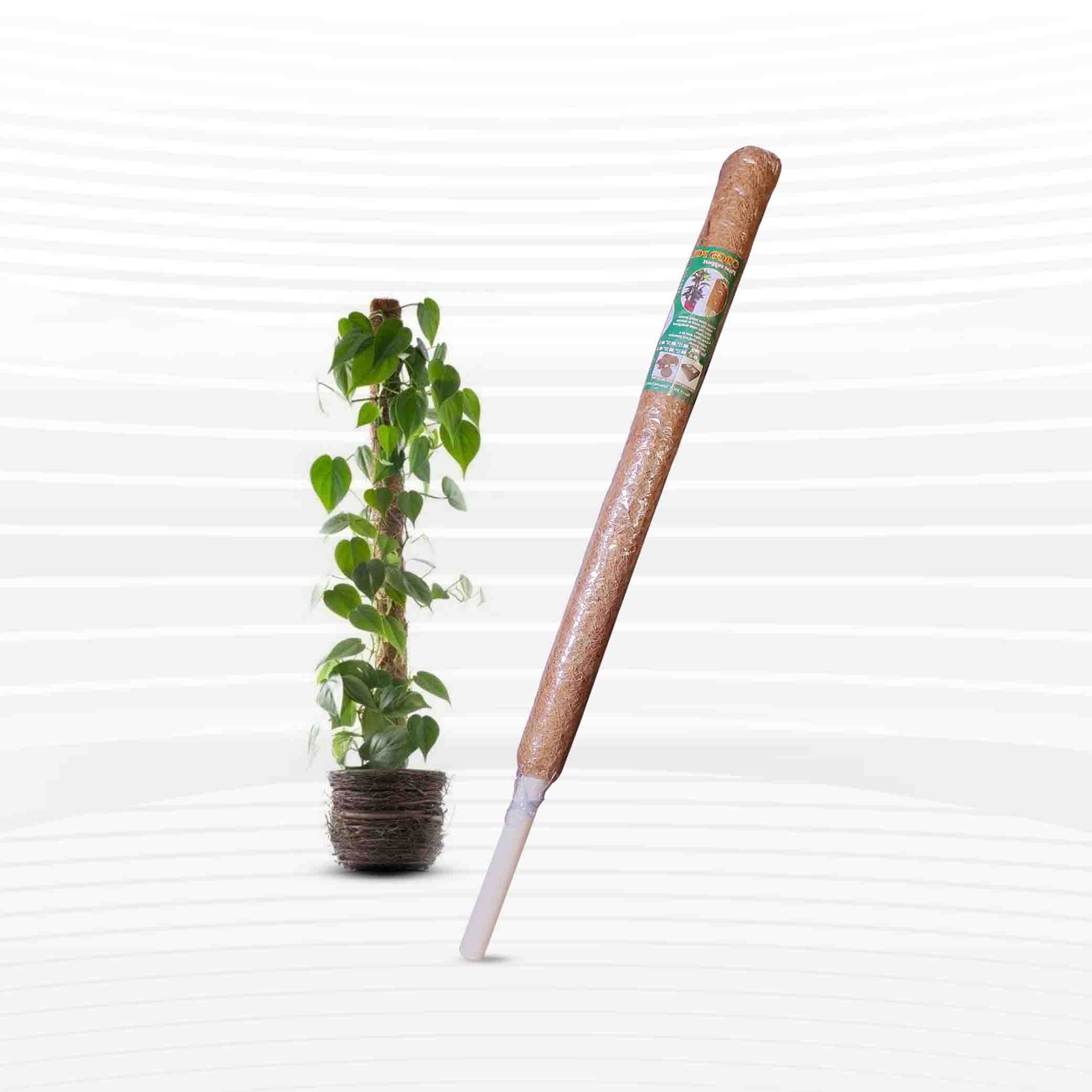 40 Inch Coco Pole (Grow Stick) - 1Pcs