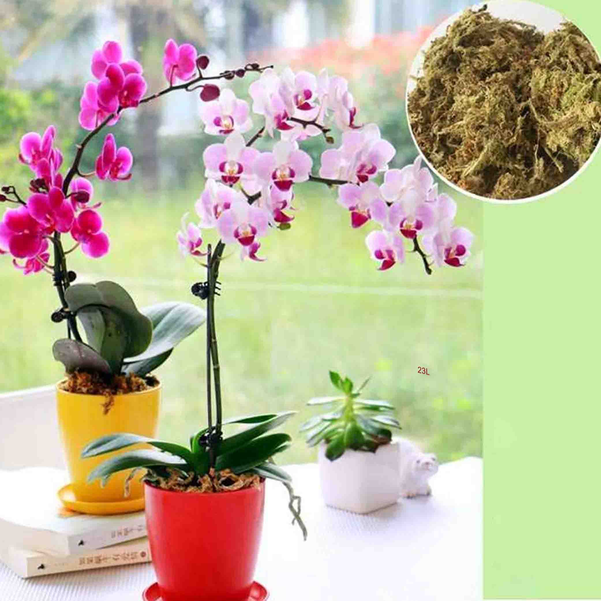Spagnam Moss - 6 Litre