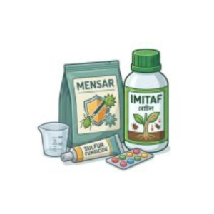 Insecticide & Fungicide