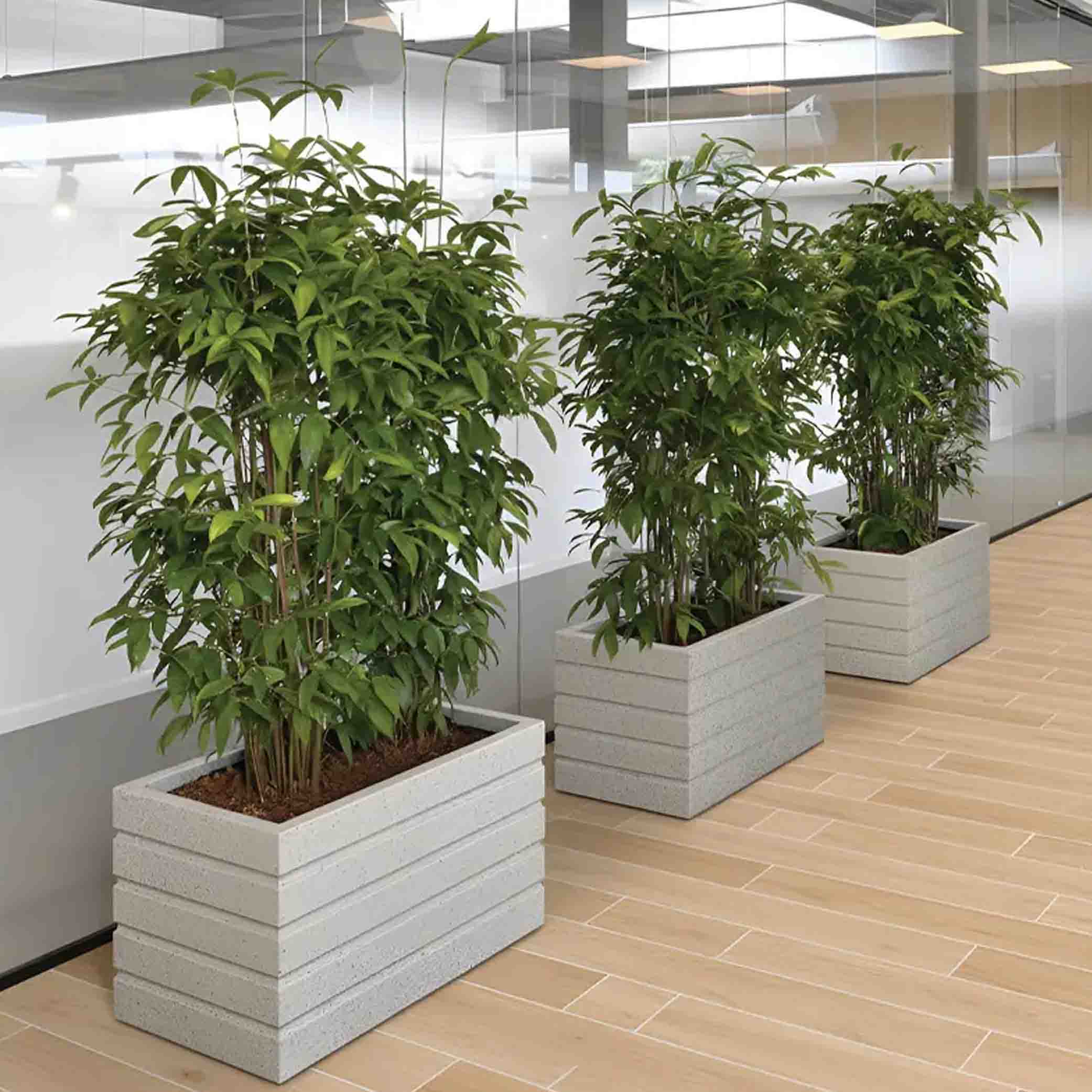 RFL ROTO Square Plant Care Planter - 24 Inch