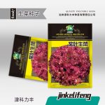 Purple Leaf Lettuce Seeds (হাইব্রিড রেড/পার্পল লেটুস বীজ - ২ গ্রাম প্যাকেট)