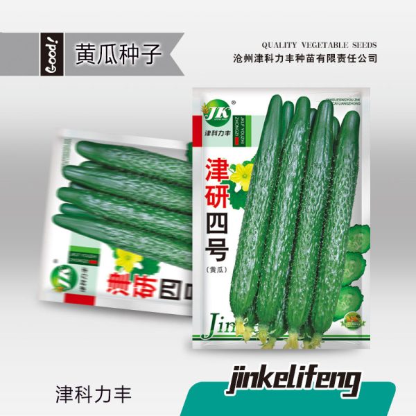 Jinyan No. 4 Long Cucumber Seeds (হাইব্রিড লম্বা শসা বীজ - ৫০ পিস প্যাকেট)