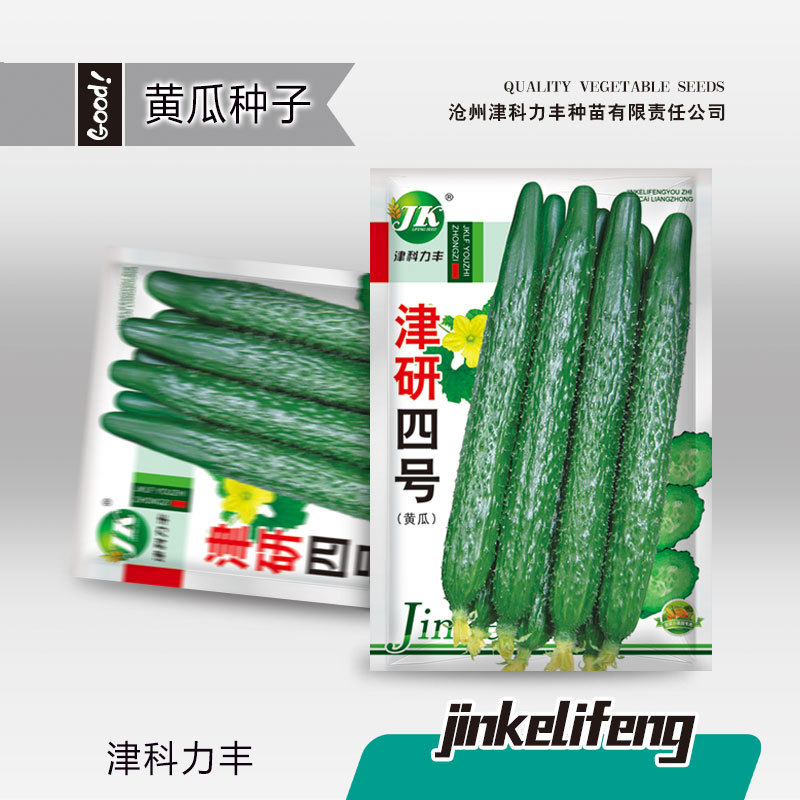 Jinyan No. 4 Long Cucumber Seeds (হাইব্রিড লম্বা শসা বীজ - ৫০ পিস প্যাকেট)