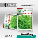 Green Leaf Lettuce Seeds (আমেরিকান ফাস্ট-গ্রোইং গ্রিন লেটুস বীজ - ৩ গ্রাম প্যাকেট)