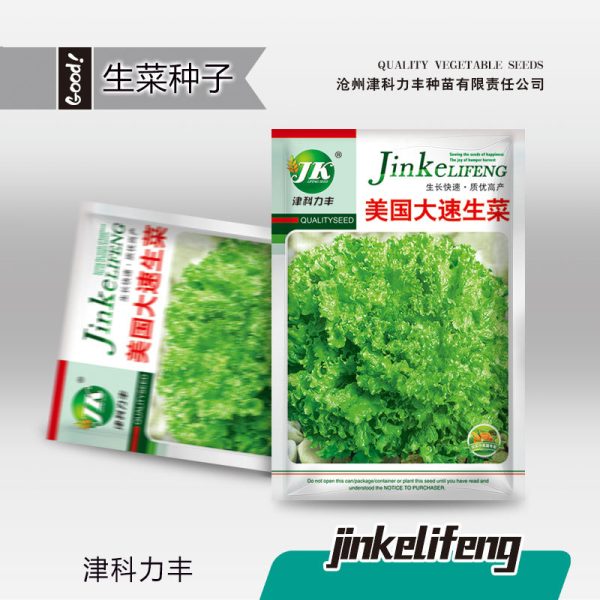 Green Leaf Lettuce Seeds (আমেরিকান ফাস্ট-গ্রোইং গ্রিন লেটুস বীজ - ৩ গ্রাম প্যাকেট)