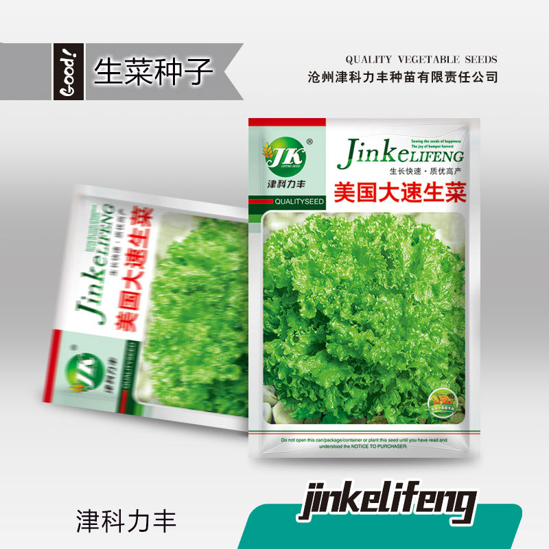 Green Leaf Lettuce Seeds (আমেরিকান ফাস্ট-গ্রোইং গ্রিন লেটুস বীজ - ৩ গ্রাম প্যাকেট)