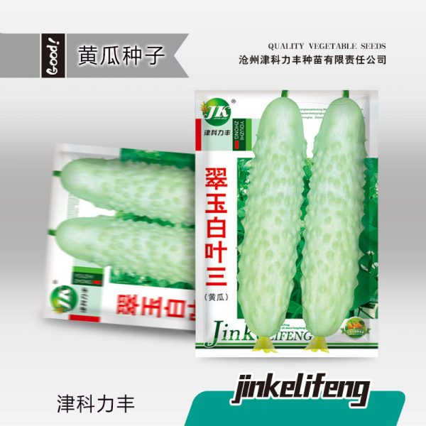 White Jade Cucumber Seeds (হাইব্রিড জেড হোয়াইট শসা বীজ - ৫০ পিস প্যাকেট)