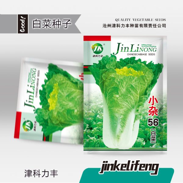 Fast Chinese Cabbage Seeds (হাইব্রিড ফাস্ট-গ্রোইং চাইনিজ বাঁধাকপি/নাপা ক্যাবেজ বীজ - ৮০০ পিস প্যাকেট)