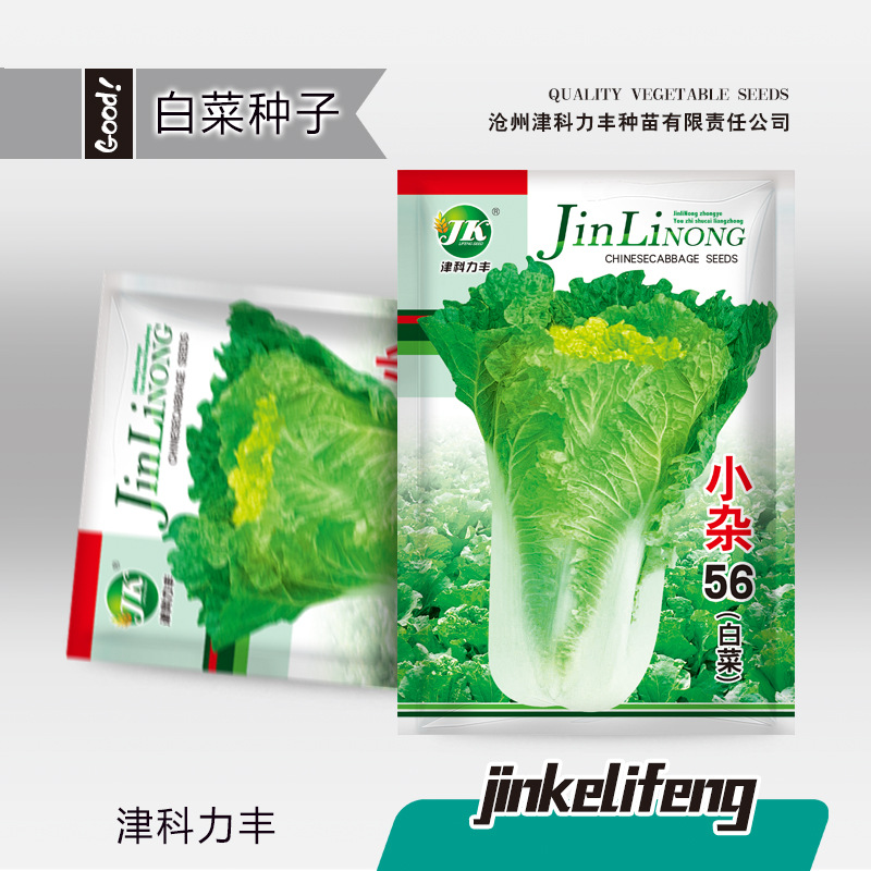Fast Chinese Cabbage Seeds (হাইব্রিড ফাস্ট-গ্রোইং চাইনিজ বাঁধাকপি/নাপা ক্যাবেজ বীজ - ৮০০ পিস প্যাকেট)