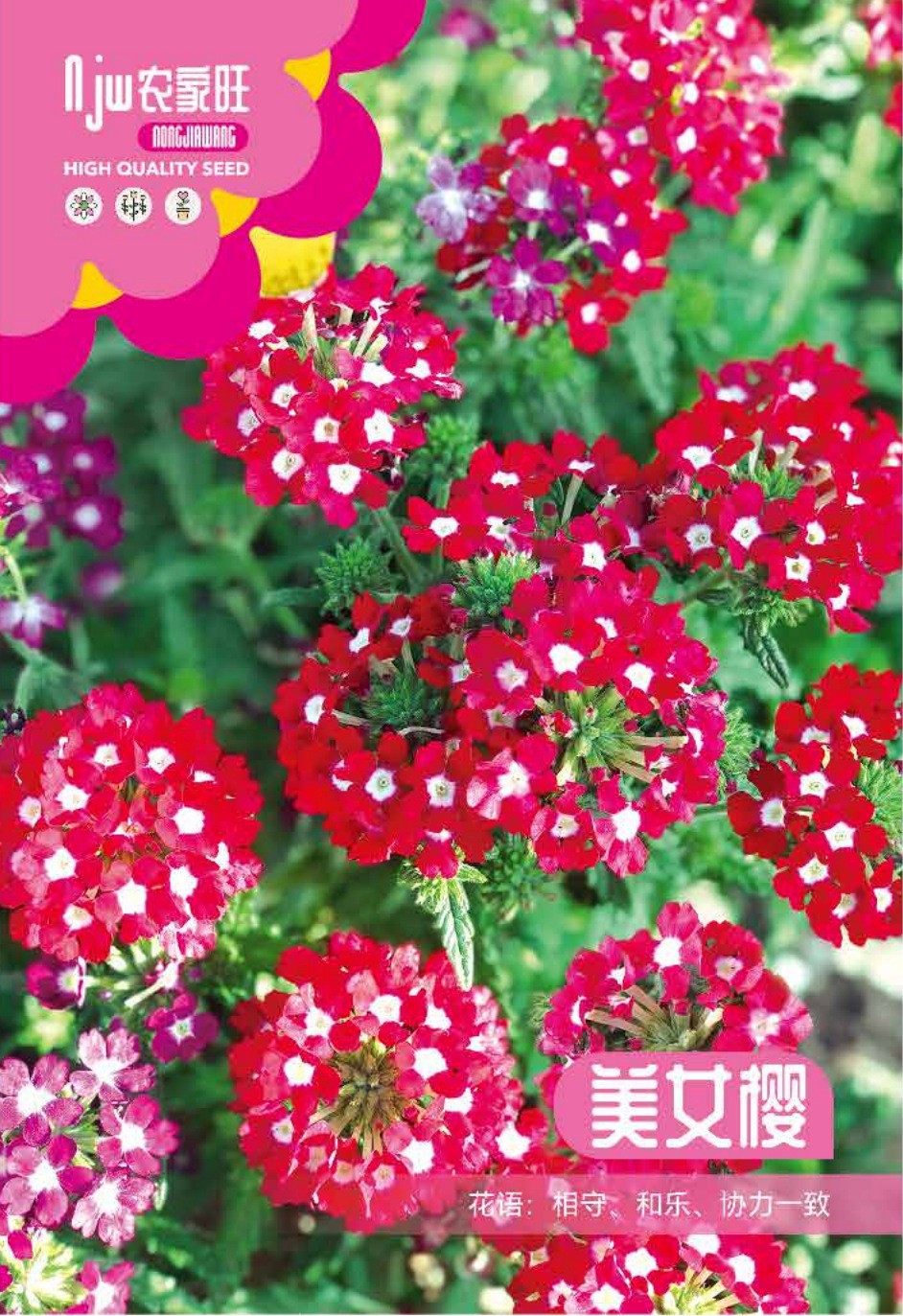 উন্নত জাতের বিউটি সাকুরা বা ভারবেনা ফুলের বীজ (Beauty Sakura / Verbena Seeds - 400 pcs)