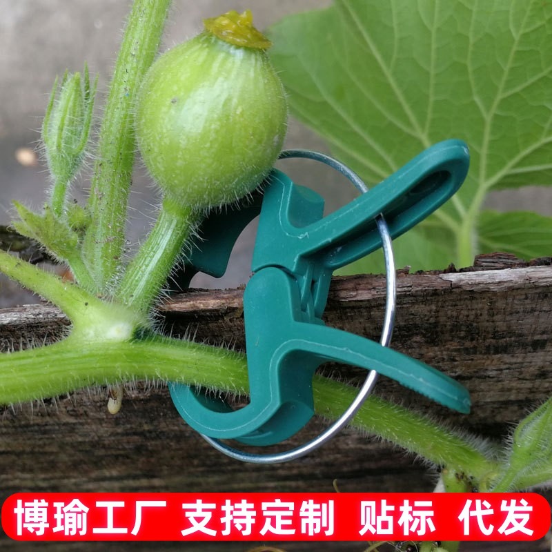 মজবুত প্ল্যান্ট সাপোর্ট ক্লিপস ( ২০ পিস) | (Plant Support Clips)
