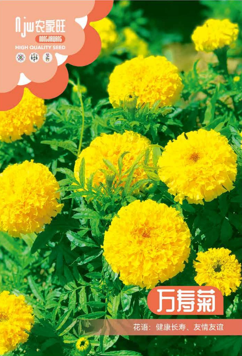 উন্নত জাতের হলুদ আফ্রিকান গাঁদা ফুলের বীজ (Yellow African Marigold Seeds - 130 pcs)