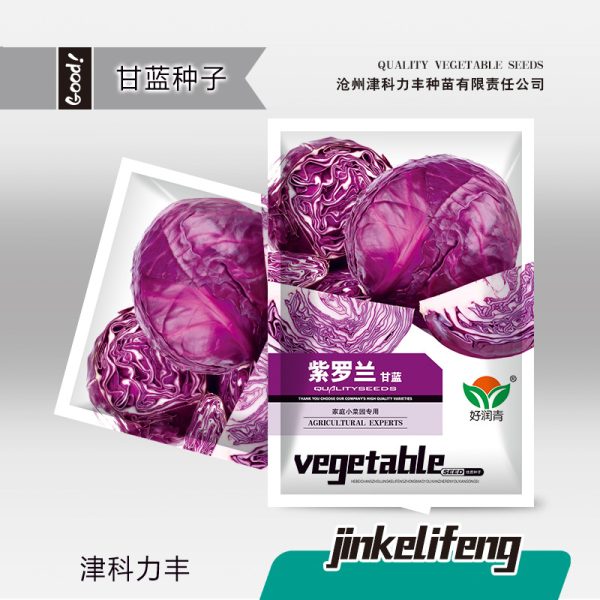 purple cabbage (২০০ পিস বীজ)