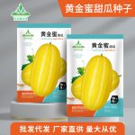 Golden Honey Melon Seeds (হাইব্রিড প্রিমিয়াম গোল্ডেন হানিডিউ মেলন বীজ - ১০০ পিস প্যাকেট)