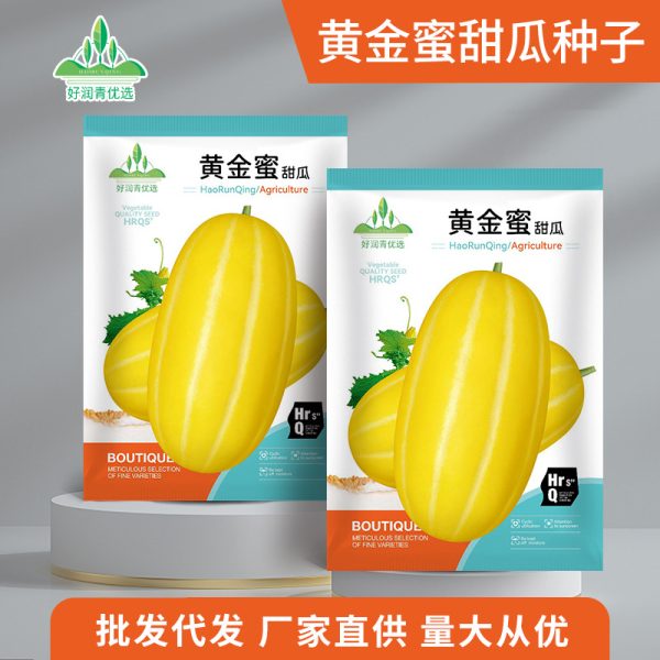 Golden Honey Melon Seeds (হাইব্রিড প্রিমিয়াম গোল্ডেন হানিডিউ মেলন বীজ - ১০০ পিস প্যাকেট)