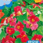 উন্নত জাতের ন্যাস্টারশিয়াম ফুলের বীজ (Nasturtium Seeds - 20 pcs)