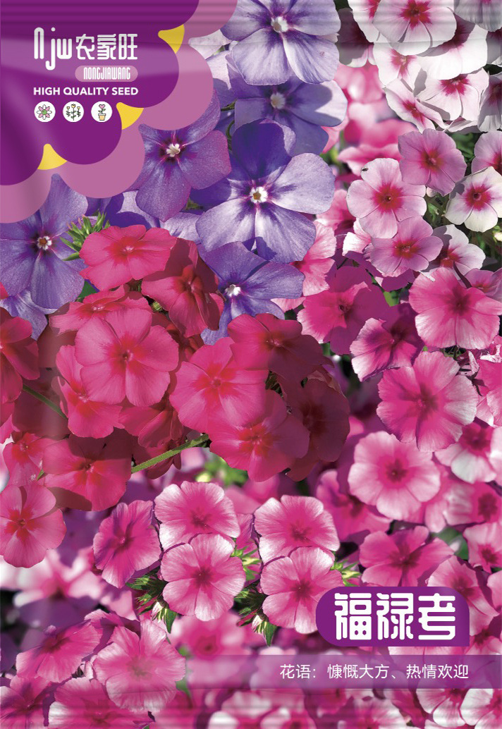 ফ্লক্স ফুলের বীজ (Phlox Flower Seeds) | About 200 pcs