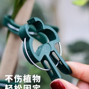 মজবুত প্ল্যান্ট সাপোর্ট ক্লিপস ( ২০ পিস) | (Plant Support Clips)
