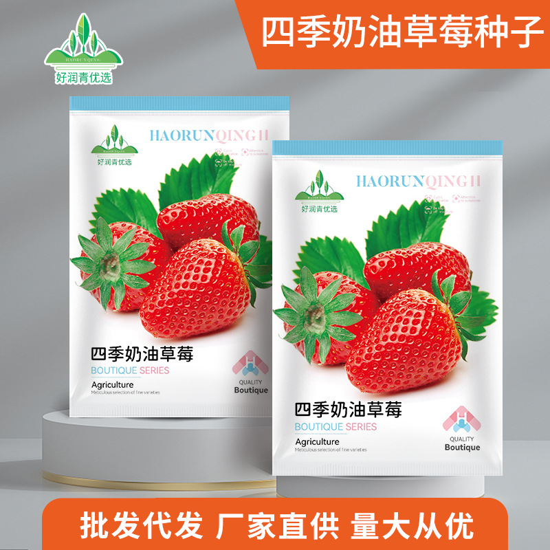 Four Seasons Cream Strawberry Seeds (about 300 pieces)