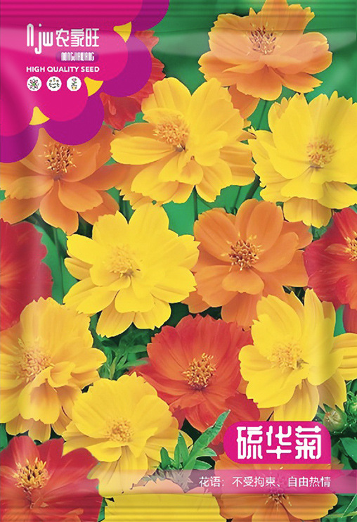সালফার ক্রিসেন্থেমাম বীজ | (Sulfur Chrysanthemum) - প্রায় ১২০ পিস বীজ