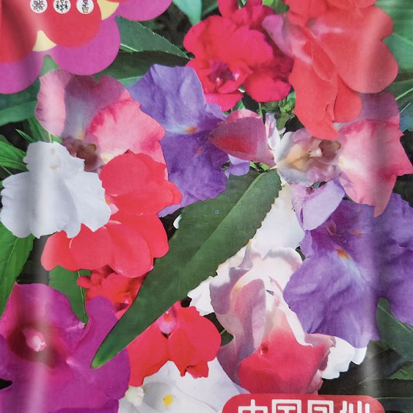 চাইনিজ ফিনিক্স ফেয়ারি বা দোপাটি ফুলের বীজ (Chinese Phoenix Fairy Seeds - 180 pcs)