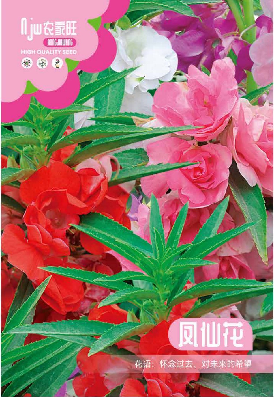 উন্নত জাতের ইমপেশেন্স ফুলের বীজ (Impatiens Seeds - 180 pcs)