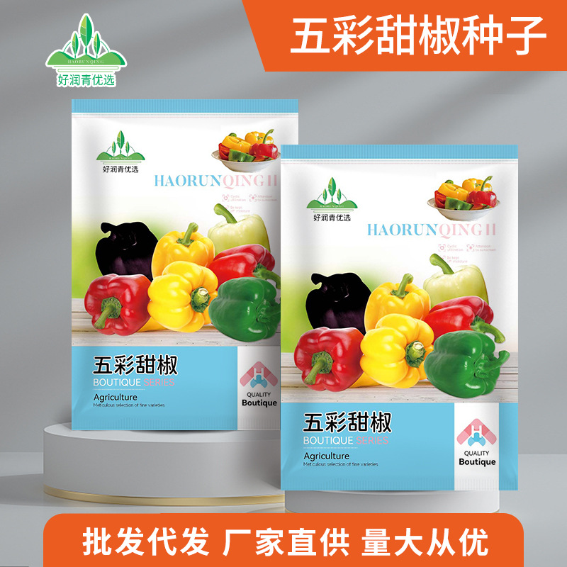 Mixed Color Bell Pepper Seeds (হাইব্রিড বহুবর্ণিল ক্যাপসিকাম/মিষ্টি মরিচ বীজ - ১০০ পিস প্যাকেট)