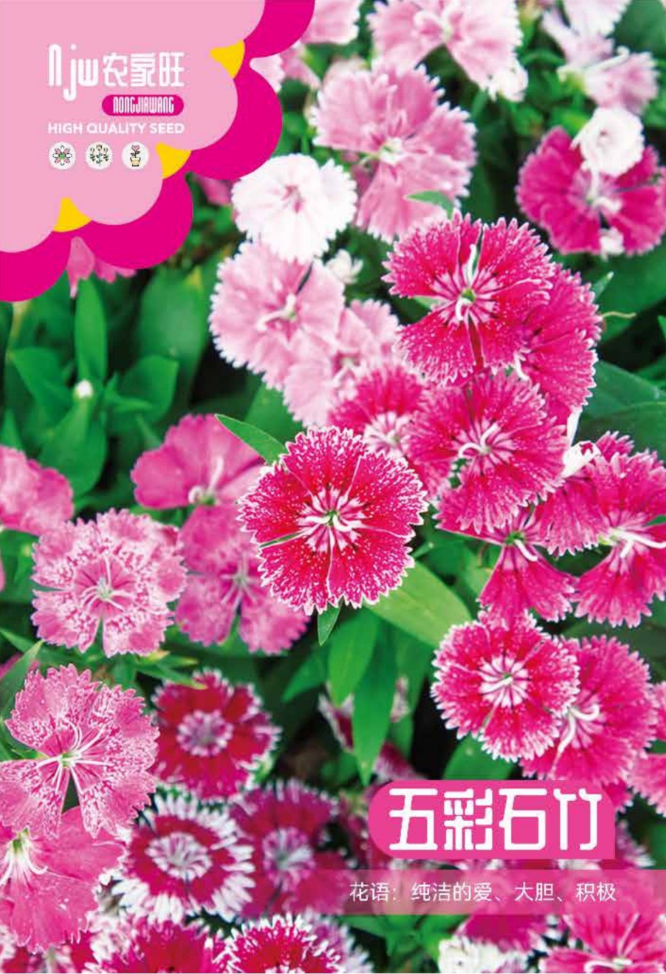 কালারফুল কার্নেশন ফুলের বীজ (Colorful Carnation Seeds - 400 pcs)