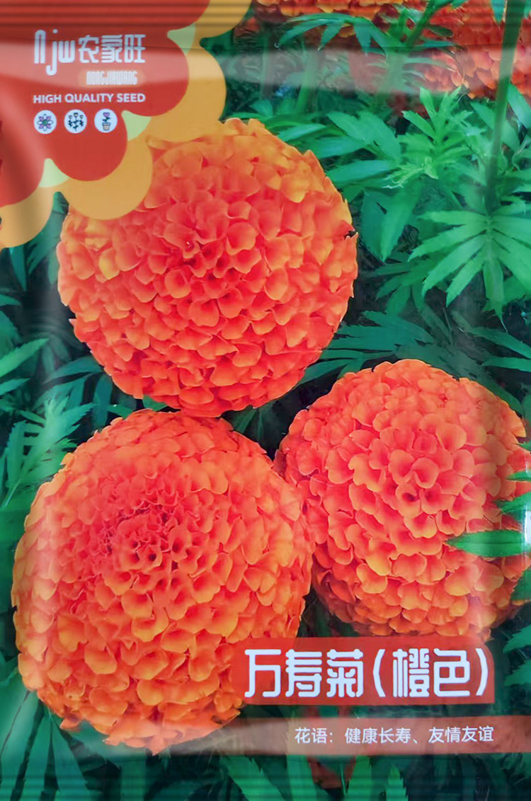 উন্নত জাতের কমলা আফ্রিকান গাঁদা ফুলের বীজ (Orange African Marigold Seeds - 130 pcs)