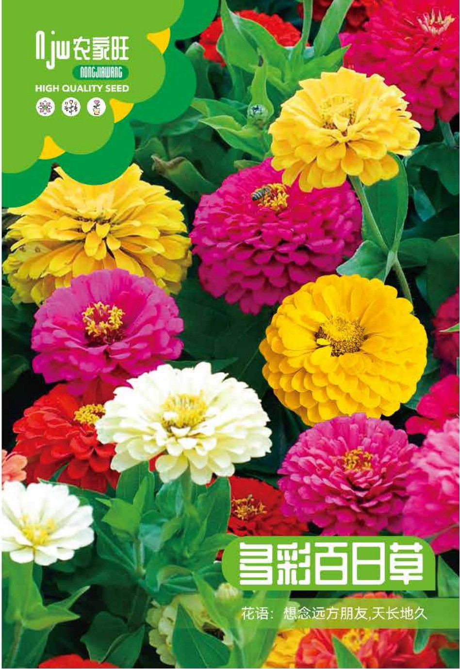 উন্নত জাতের জিনিয়া ফুলের বীজ (Zinnia Seeds - 100 pcs)