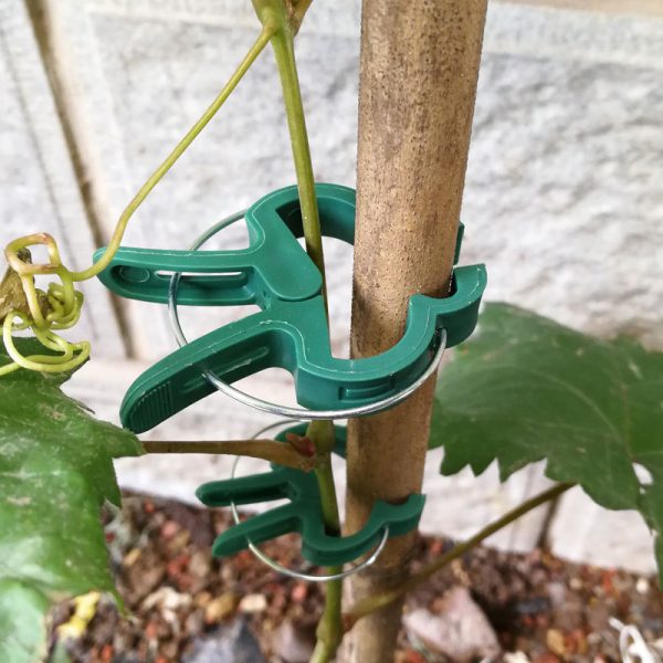 মজবুত প্ল্যান্ট সাপোর্ট ক্লিপস ( ২০ পিস) | (Plant Support Clips)