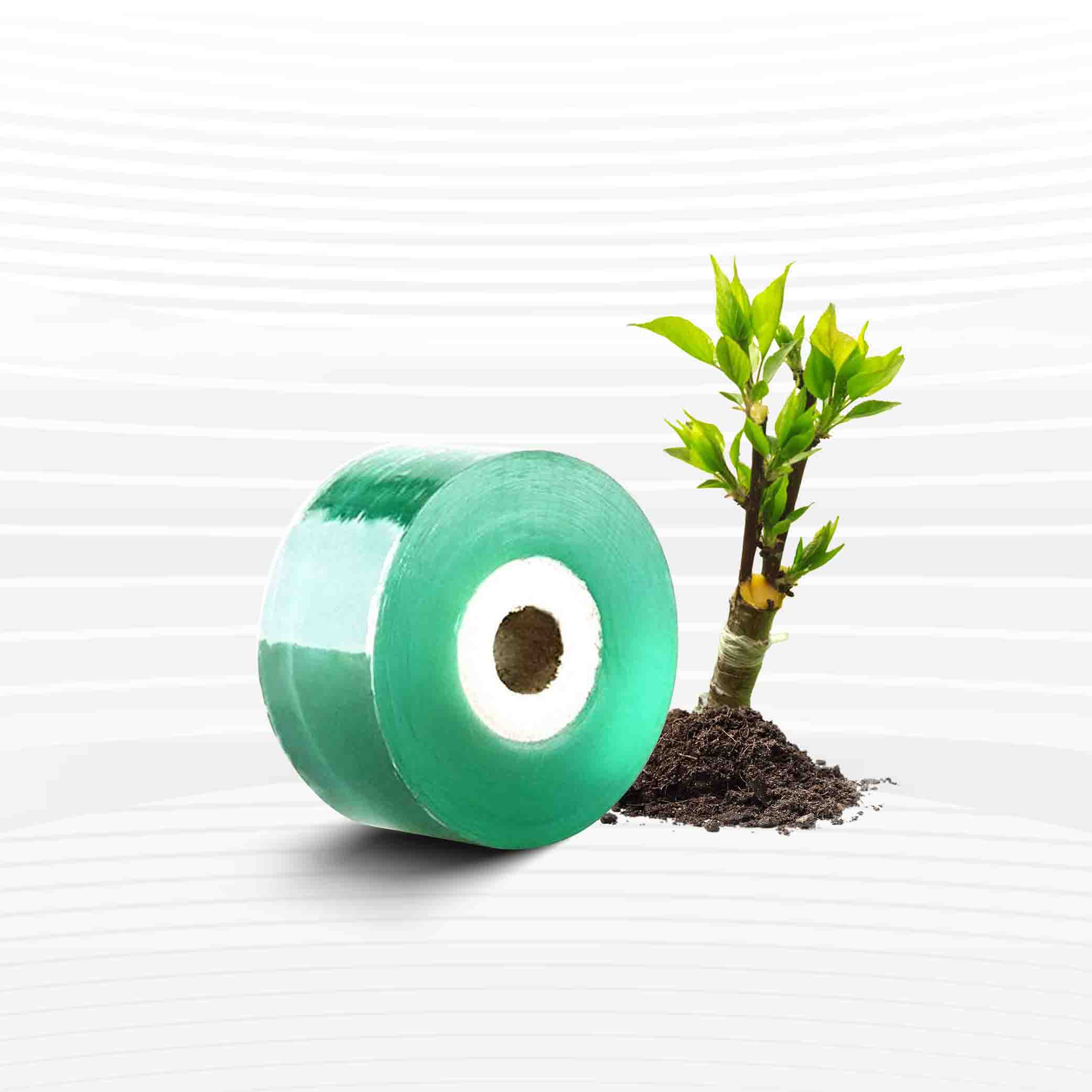 গ্রাফটিং টেপ (Grafting Tape)
