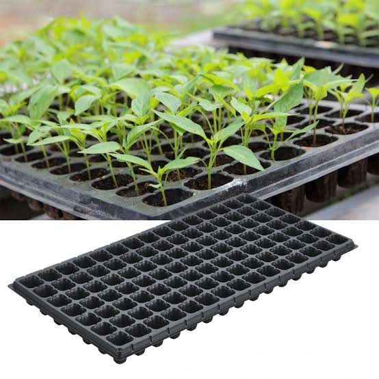 ১০৫ সেল সিডলিং ট্রে (105 Cell Seedling Tray)