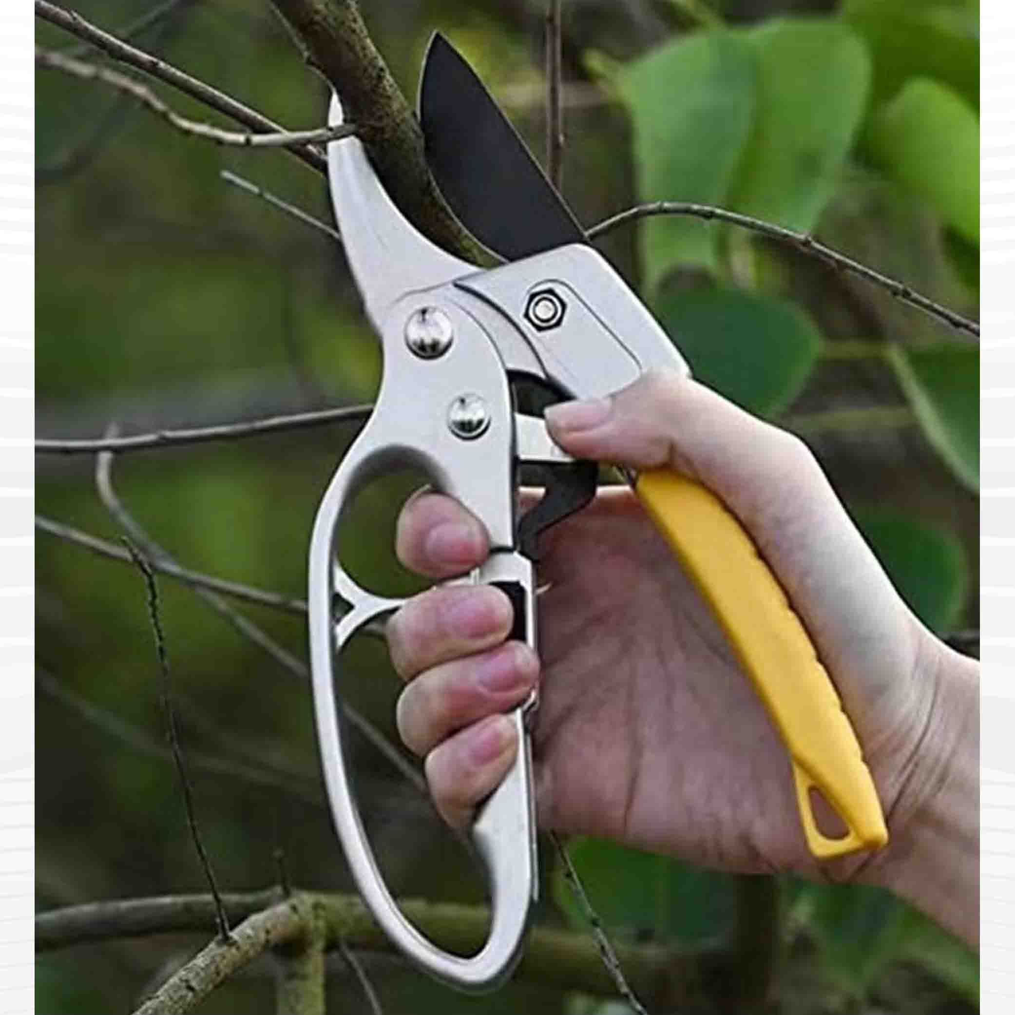 হেভি-ডিউটি প্রুনিং শিয়ার (Heavy-Duty Pruning Shears)